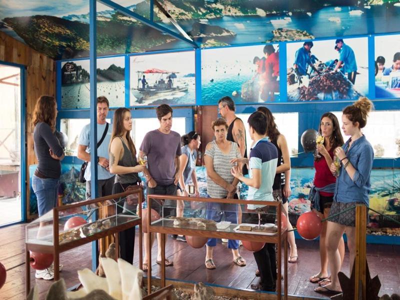 Charm Boutique Cruise Hotel Ha Long Buitenkant foto